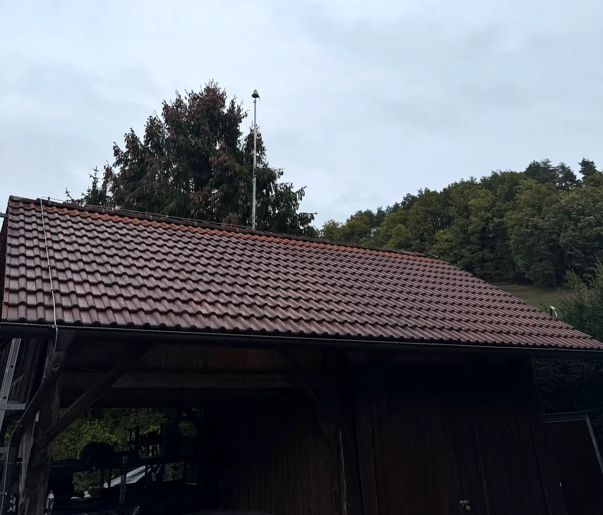 Lovilnik Prevectron na drogu nad leseno gospodarsko stavbo ob gozdu