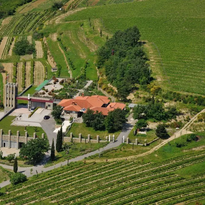 Posestvo Santomas med vinogradi v Slovenski Istri, pogled iz zraka